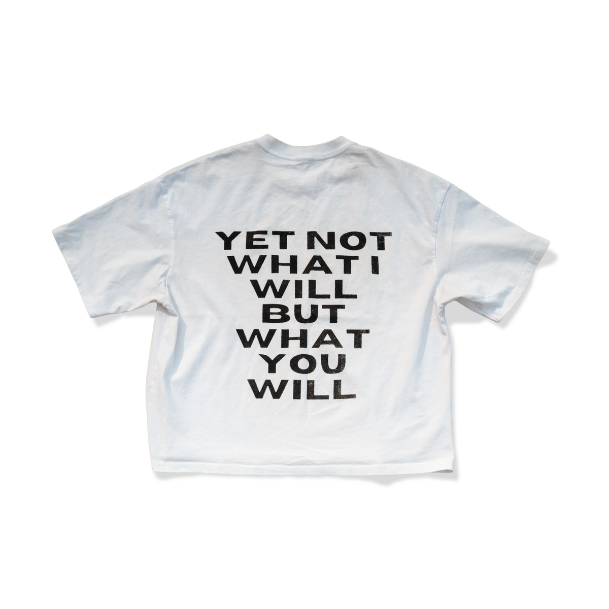 Yet Not What I Will, But What You Will